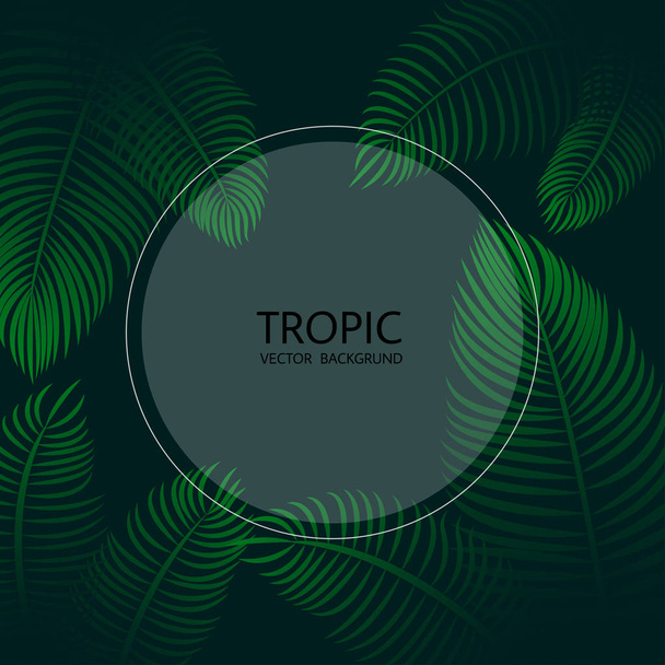 Design with exotic tropical palm leaves and lettering. Vector tropical background. - Διάνυσμα, εικόνα