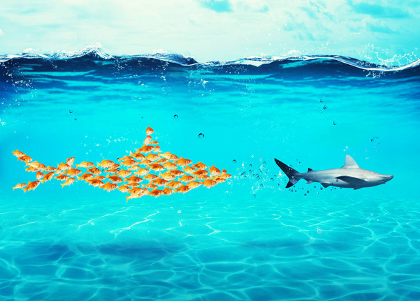 Big shark made of goldfishes attack a real shark. Concept of unity is strength, teamwork and partnership - Foto, immagini