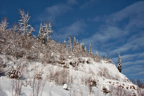 A Rússia. O sul da Sibéria Ocidental. Dia de inverno ensolarado na montanha Shoria
. - Foto, Imagem