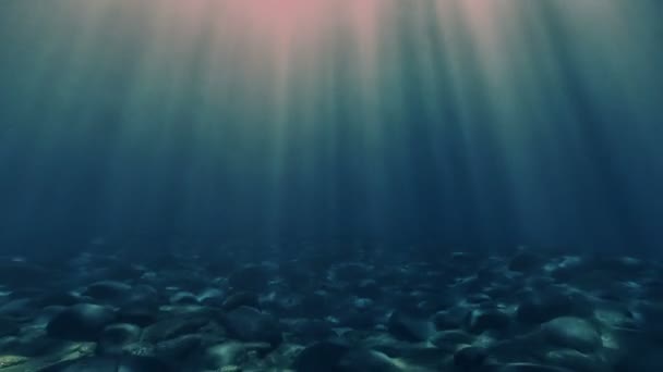 βυθό θάλασσας ray Περίληψη - Πλάνα, βίντεο