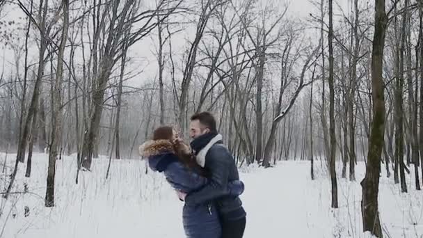 Τύπος και το κορίτσι χειμώνα στο πάρκο - Πλάνα, βίντεο
