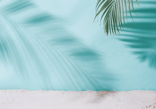 Summer concept. Palm tree shadow on blue background. - Foto, afbeelding