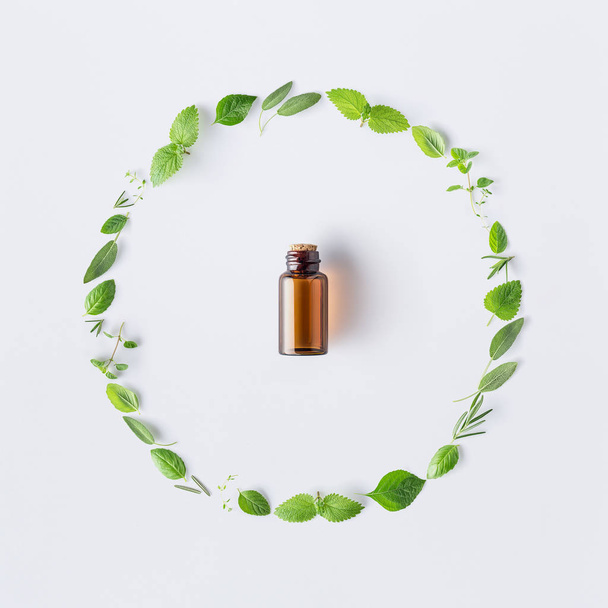Bottle of essential oil with round shape of fresh herbs and spices basil, sage, rosemary, oregano, thyme, lemon balm  and peppermint setup with flat lay on white background - Photo, Image