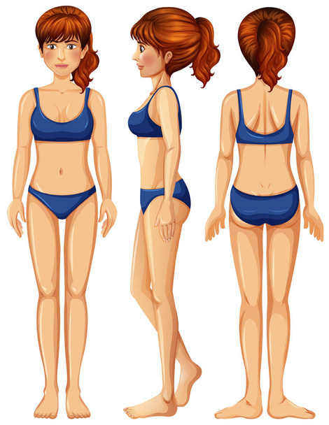 ein Vektor weiblicher Körperillustration - Vektor, Bild