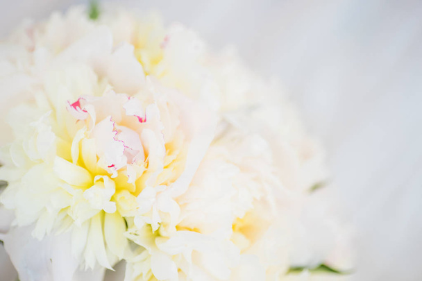 Beautiful bridal bouquet with white peony flowers - Фото, зображення