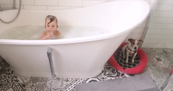 niño pequeño y un perro en un baño
 - Imágenes, Vídeo