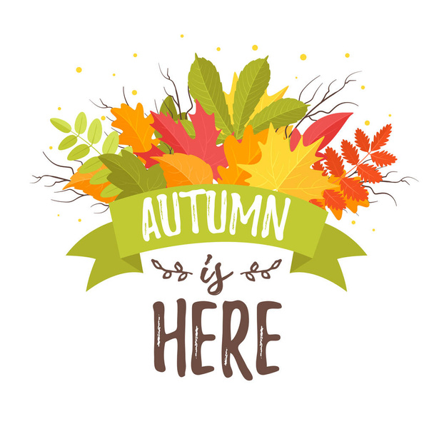 Осенний дизайн для сезонной открытки
 - Вектор,изображение