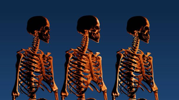 Πορτοκαλί πολυ χαμηλή πλευρά σκελετός κατακόρυφη προβολή σε σκούρο μπλε φόντο - Διάνυσμα, εικόνα