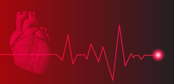 Ilustração do coração humano vermelho com gráfico de pulso de frequência cardíaca no fundo escuro
 - Vetor, Imagem