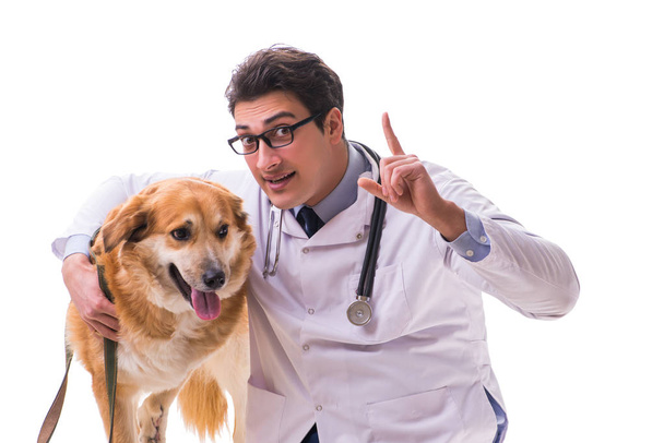 Tierarzt untersucht Golden-Retriever-Hund isoliert auf Weiß - Foto, Bild