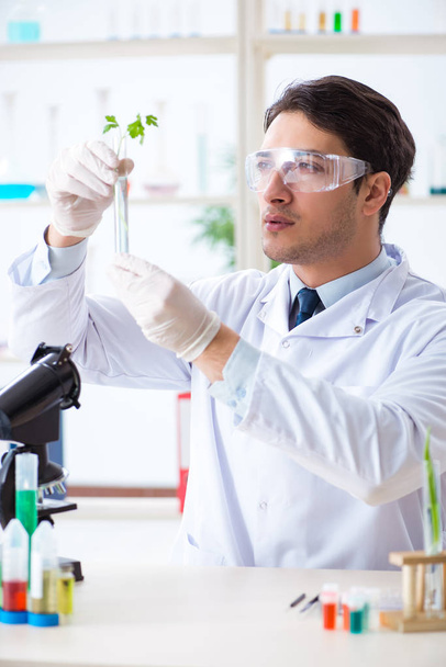 Male biochemist working in the lab on plants - Фото, зображення