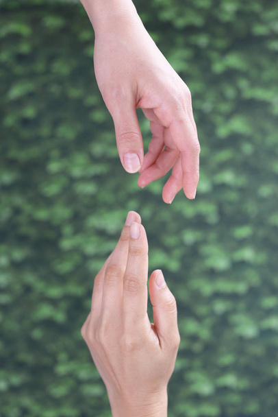 Handen van vrouwen bereiken met elkaar - Foto, afbeelding