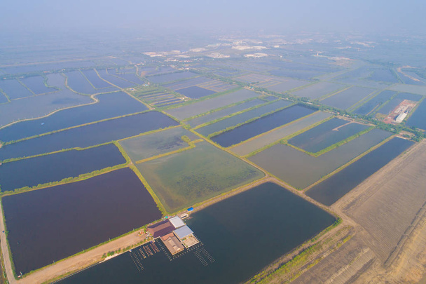 A légi felvétel a sós ültetvény mező reggel, só ipar - Fotó, kép