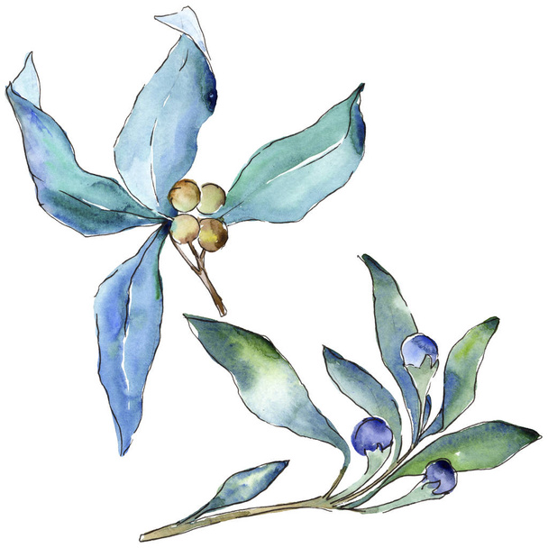 Blue elaeagnus leaves in a watercolor style isolated. Aquarelle leaf for background, texture, wrapper pattern, frame or border. - Photo, Image
