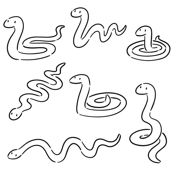 kígyók kórokozó-átvivő készlete - Vektor, kép