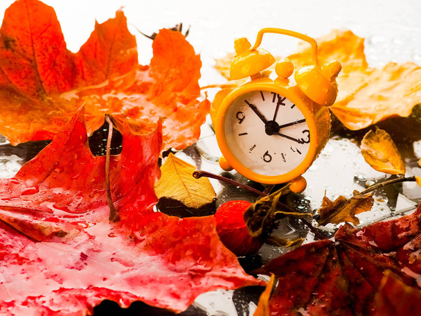 Uhr mit Blättern Zeitumstellung, Wecker in bunten Herbstblättern. - Foto, Bild