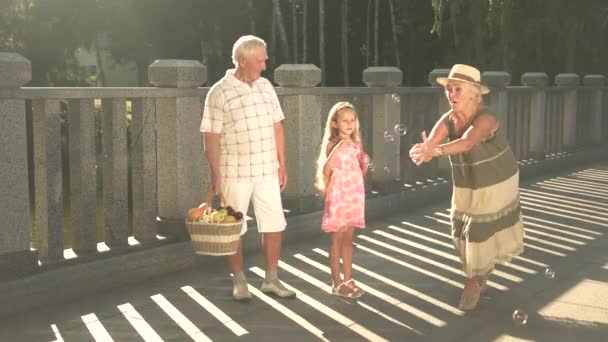 Senioren mit Enkelkind picknicken. - Filmmaterial, Video