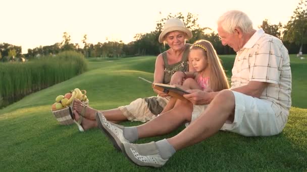 Granddaughter sitting with grandparents outdoors. - Footage, Video