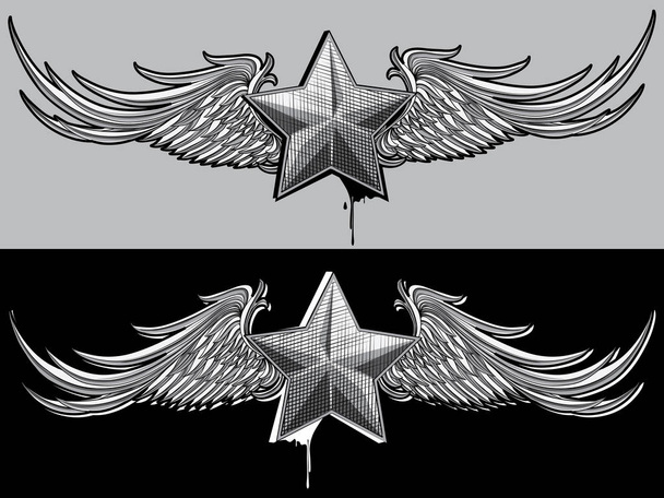 Набор винтажных крылатых звездных эмблем, векторная иллюстрация
 - Вектор,изображение