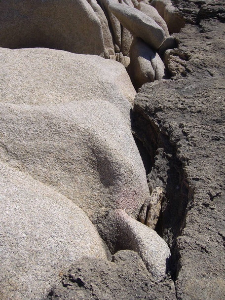 Rocce granitiche con vegetazione mediterranea, Capo Testa, Santa Teresa Gallura, Italia
 - Foto, immagini