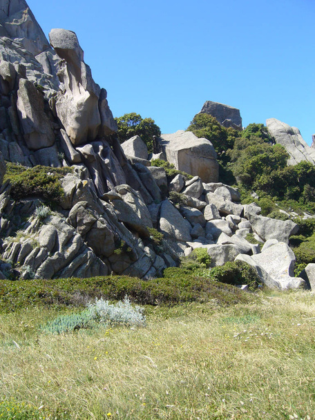 Rochas graníticas com vegetação mediterrânea, Vale da Lua, Capo Testa, Santa Teresa Gallura, Itália
 - Foto, Imagem
