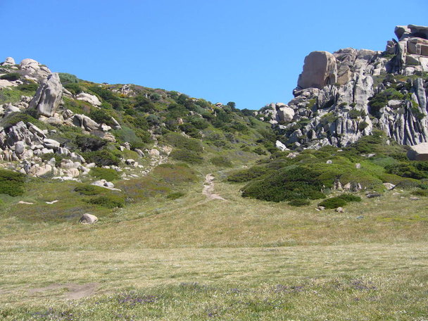 Βράχοι από γρανίτη με μεσογειακή βλάστηση, του φεγγαριού Capo Testa, κοιλάδα Santa Teresa Gallura, Ιταλία - Φωτογραφία, εικόνα