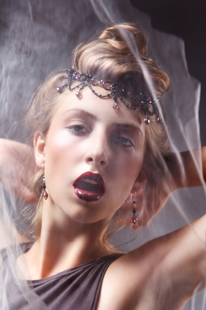 Lightsome Artistic Woman's Face with Veil - Delight - Zdjęcie, obraz