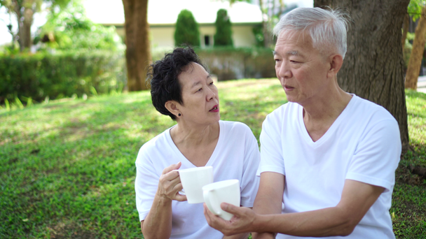 Aziatische senior paar praten over de toekomst na pensionering in groene residentie park - Video