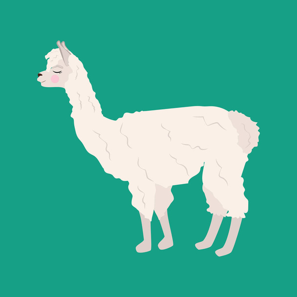 Llama alpaka ilustración sobre el fondo verde. Ilustración vectorial
 - Vector, Imagen