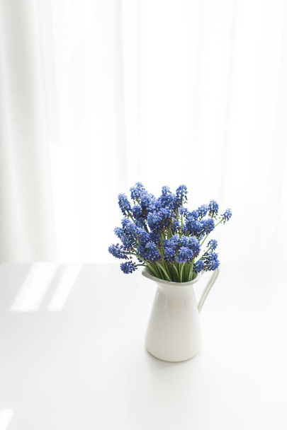 ein Bouquet frischer Frühlingsmuscari-Hyazinthen in einem weißen Krug vor dem Fenster, Sonnenlicht - Foto, Bild