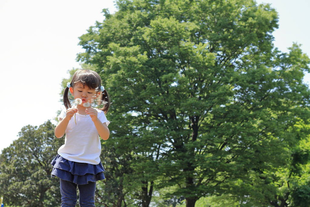 Ragazza giapponese che soffia semi di tarassaco sotto il cielo blu (3 anni
) - Foto, immagini