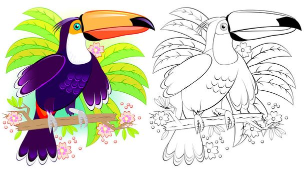 Colorful and black and white pattern for coloring. Illustration of cute toucan. Worksheet for children and adults. Vector image. - Vektori, kuva