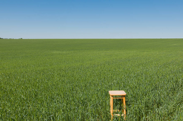 Стул на зеленом пшеничном поле под ясным голубым небом в яркий солнечный летний день
 - Фото, изображение