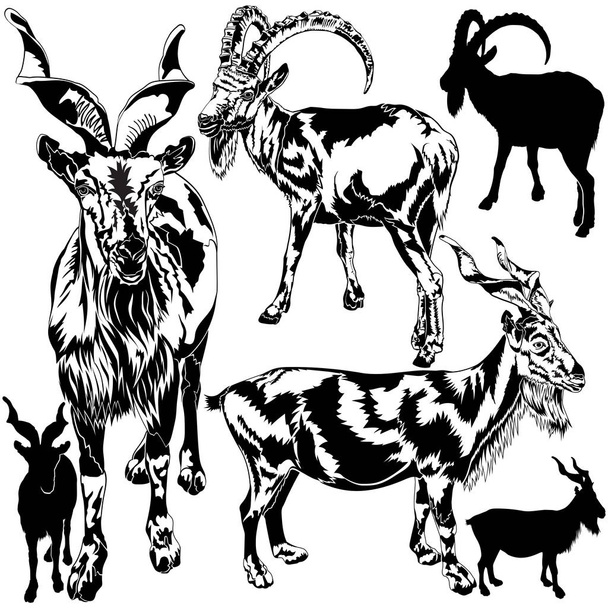 Silhouettes of Goats - Vector, Image
