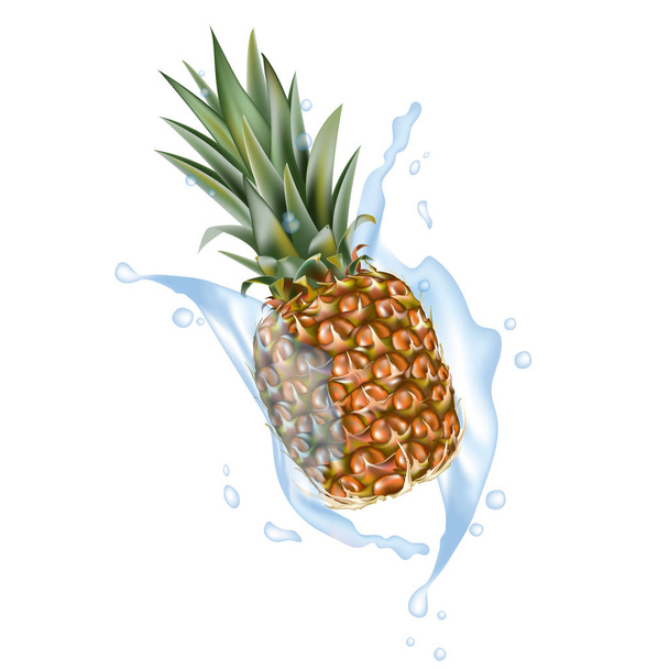 Pineapple 3d vector with realistic splash design elements. Packaging splashing falling ananas for juice, coffee, milk, water, cocktail, chocolate. Good for web design. EPS 10. - Vector, Image