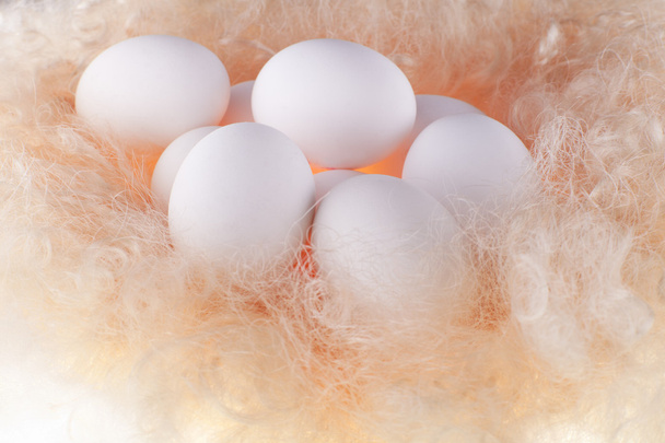 witte eieren in de zachte, zachte licht op een voering - Foto, afbeelding