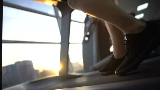 Sportsman legs walking on treadmill, sunset training after work, stress relief - Imágenes, Vídeo