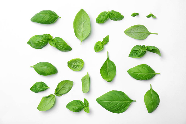 Fresh green basil leaves on white background, top view - 写真・画像