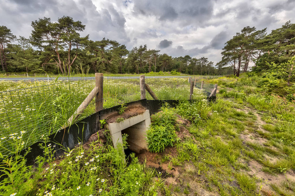 Square Wildlife underpass crossing culvert  for animals under a highway in the Netherlands - Photo, Image