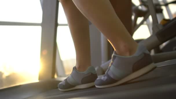 Female legs running on treadmill machine in sunlight gym, purposeful woman, goal - Materiał filmowy, wideo