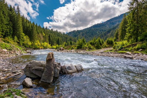 boulders on cascade of the forest river. beautiful landscape in mountains on a bright day. lovely time spent while travel Carpathians - Foto, Imagen