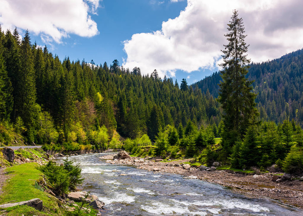 beautiful landscape with forest river in mountains. gorgeous springtime scenery on bright day with some clouds on a blue sky - Фото, изображение