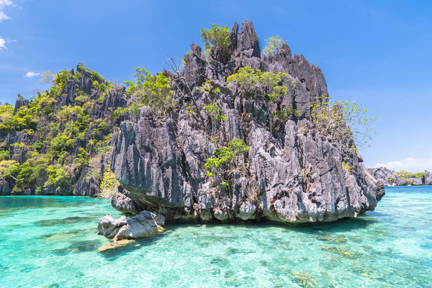 Famous Lime rocks of Coron island Busuanga Palawan Philippines - Zdjęcie, obraz