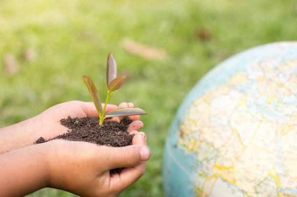 Weltumwelttagskonzept mit Baumpflanzung und grüner Erde in ehrenamtlicher Hand.  - Foto, Bild