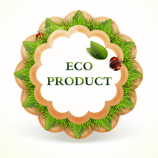 Promo sticker. vector. Eco-product - Vector, afbeelding