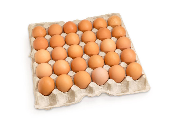 Коричневые куриные яйца в большой упаковке картонного яичного лотка для тридцати яиц из переработанной бумаги на белом фоне
 - Фото, изображение