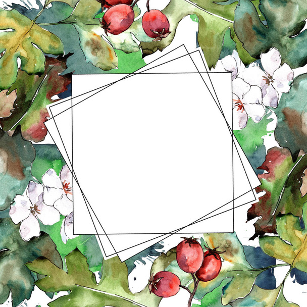 Hawthorn green leaves in a watercolor style. Frame border ornament square. Aquarelle leaf for background, texture, wrapper pattern, frame or border. - Foto, Imagem