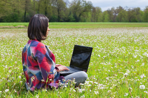 Frau sitzt mit Laptop auf Weide mit weißen Blumen - Foto, Bild