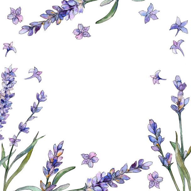 紫のラベンダー。花植物の花。フレーム枠飾りスクエア。背景、テクスチャ、ラッパー パターン、フレームや境界線の aquarelle ワイルドフラワー. - 写真・画像