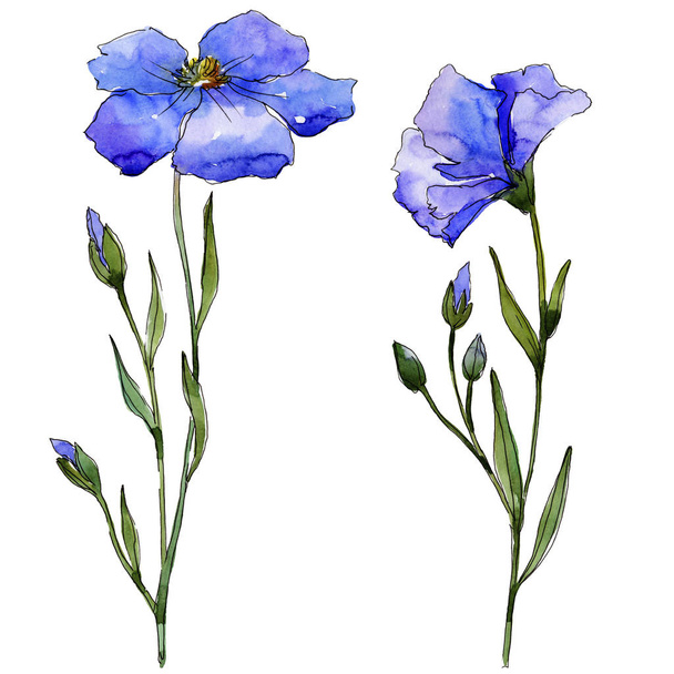 Kék len. Virágos botanikai virág. Vad tavaszi levél vadvirág elszigetelt. A háttér textúra, burkoló minta, keret vagy határ Aquarelle vadvirág. - Fotó, kép